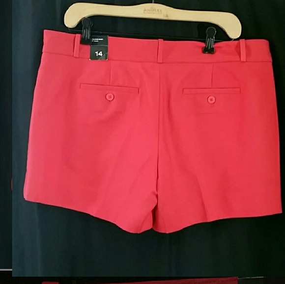 NWT THE LIMITED SHORTS - Picture 2 of 4